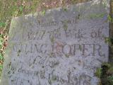 image of grave number 291721